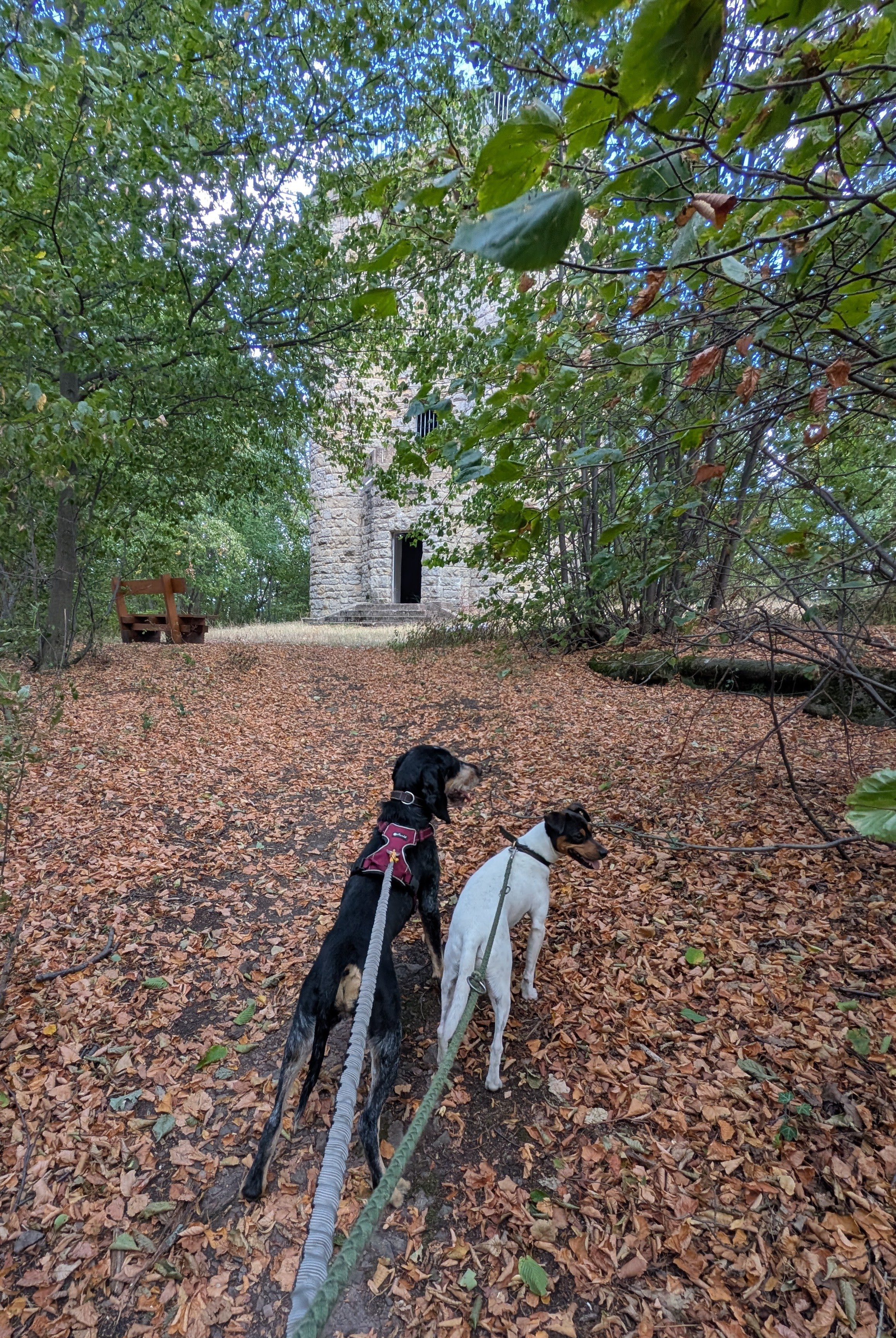 Vendetta und Zorro und der Bismarckturm