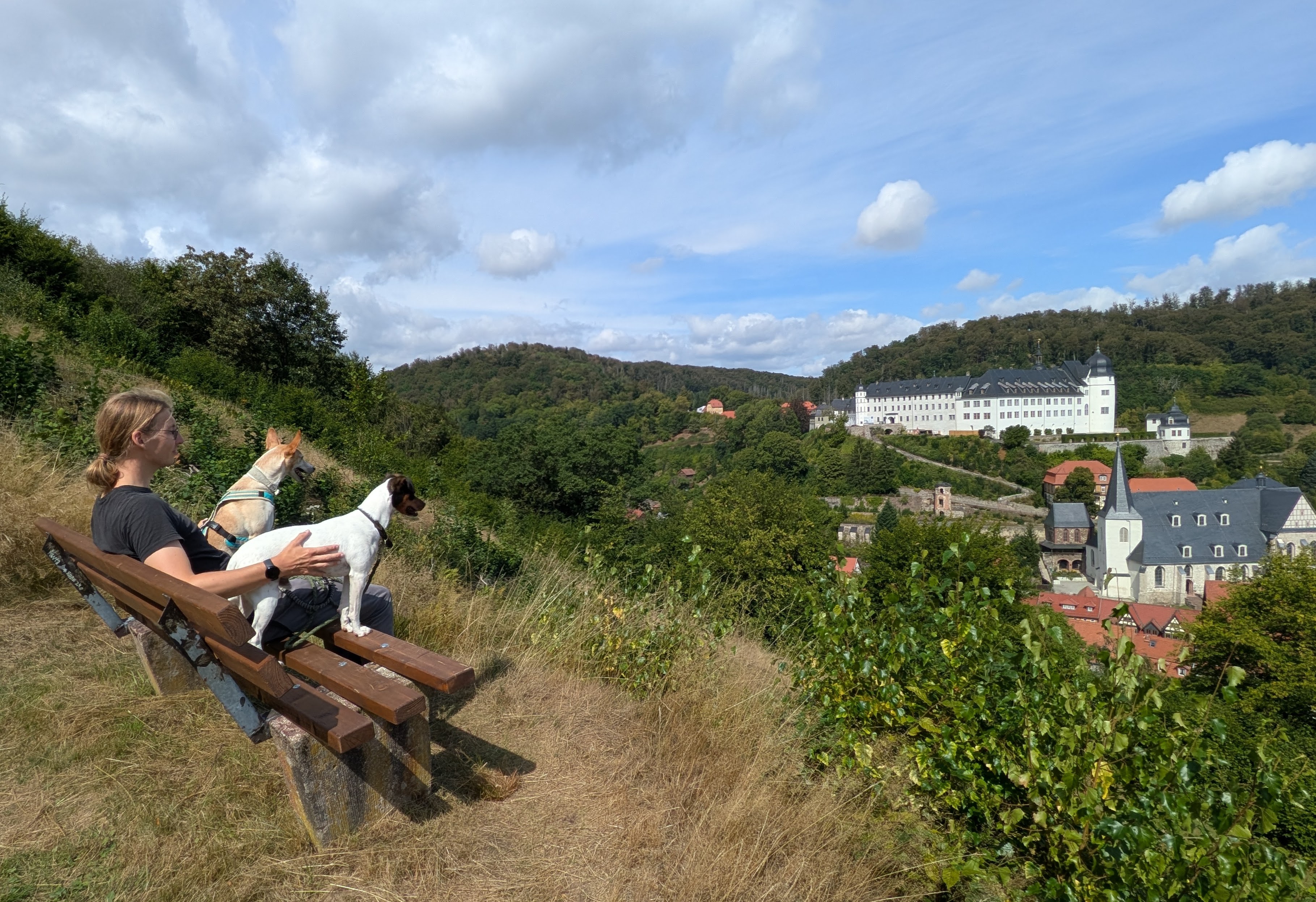 Syd, Yuri und Zorro schauen auf Stolberg