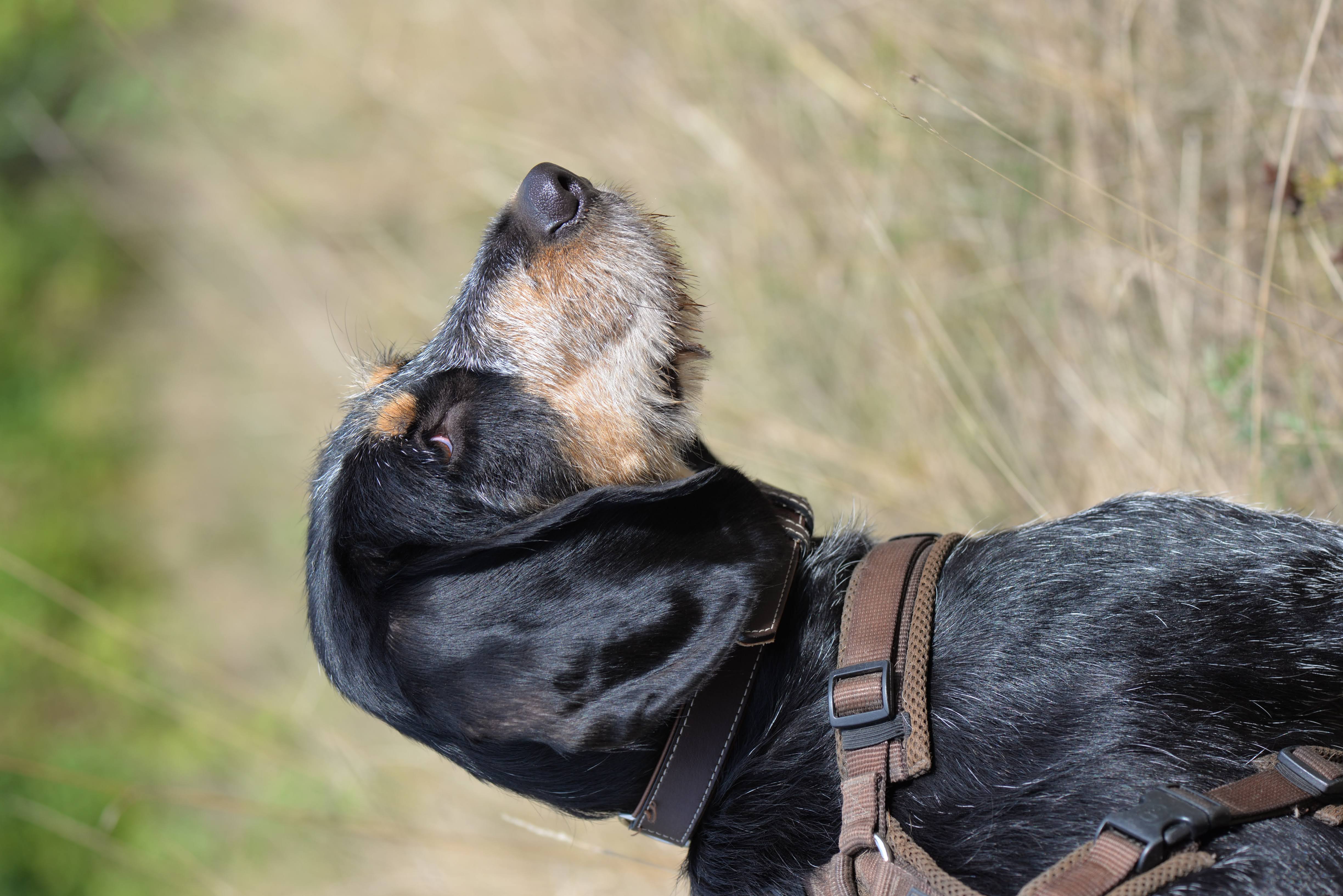 Vendetta beim Wandern