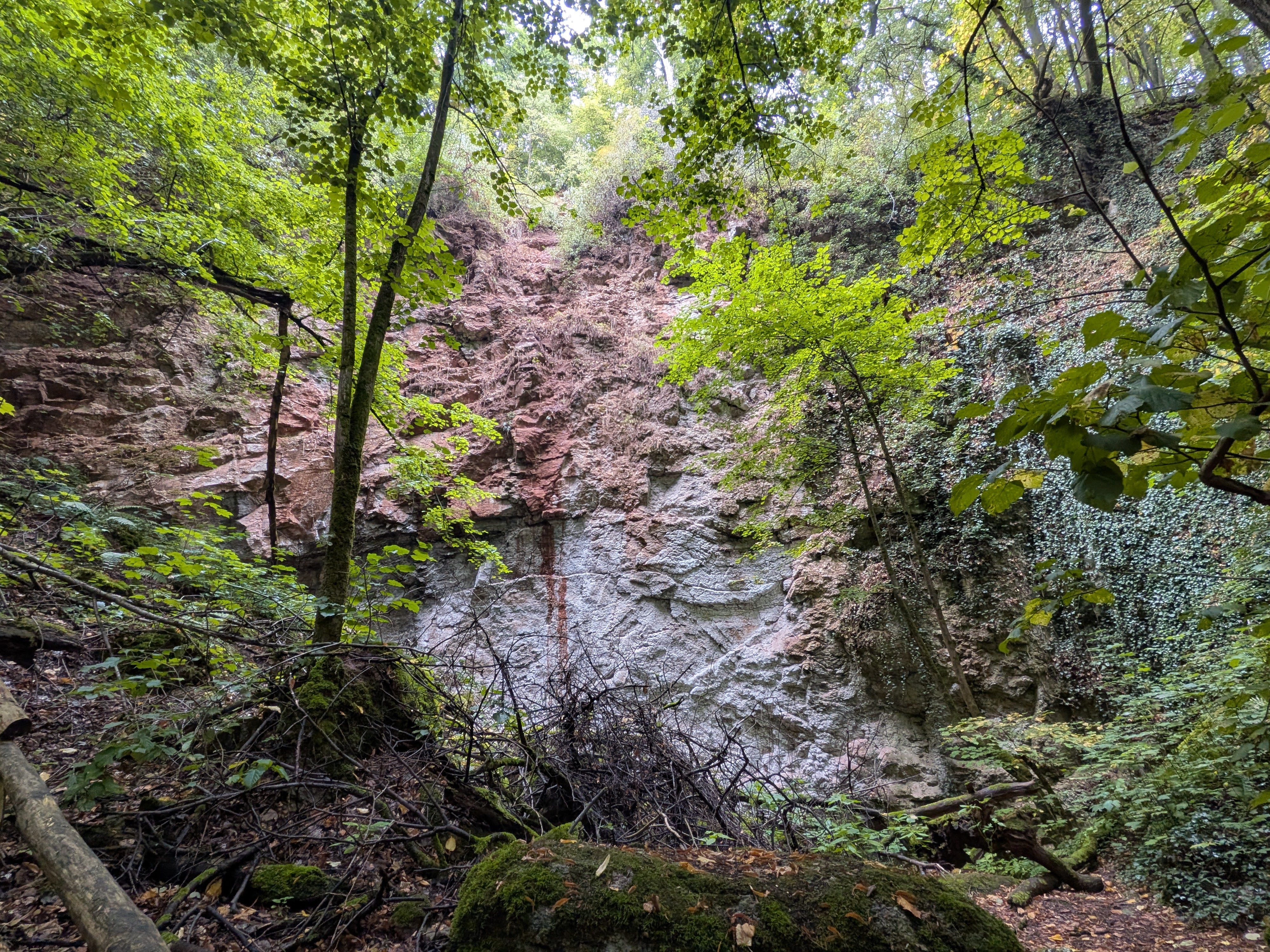 Karst im Wald