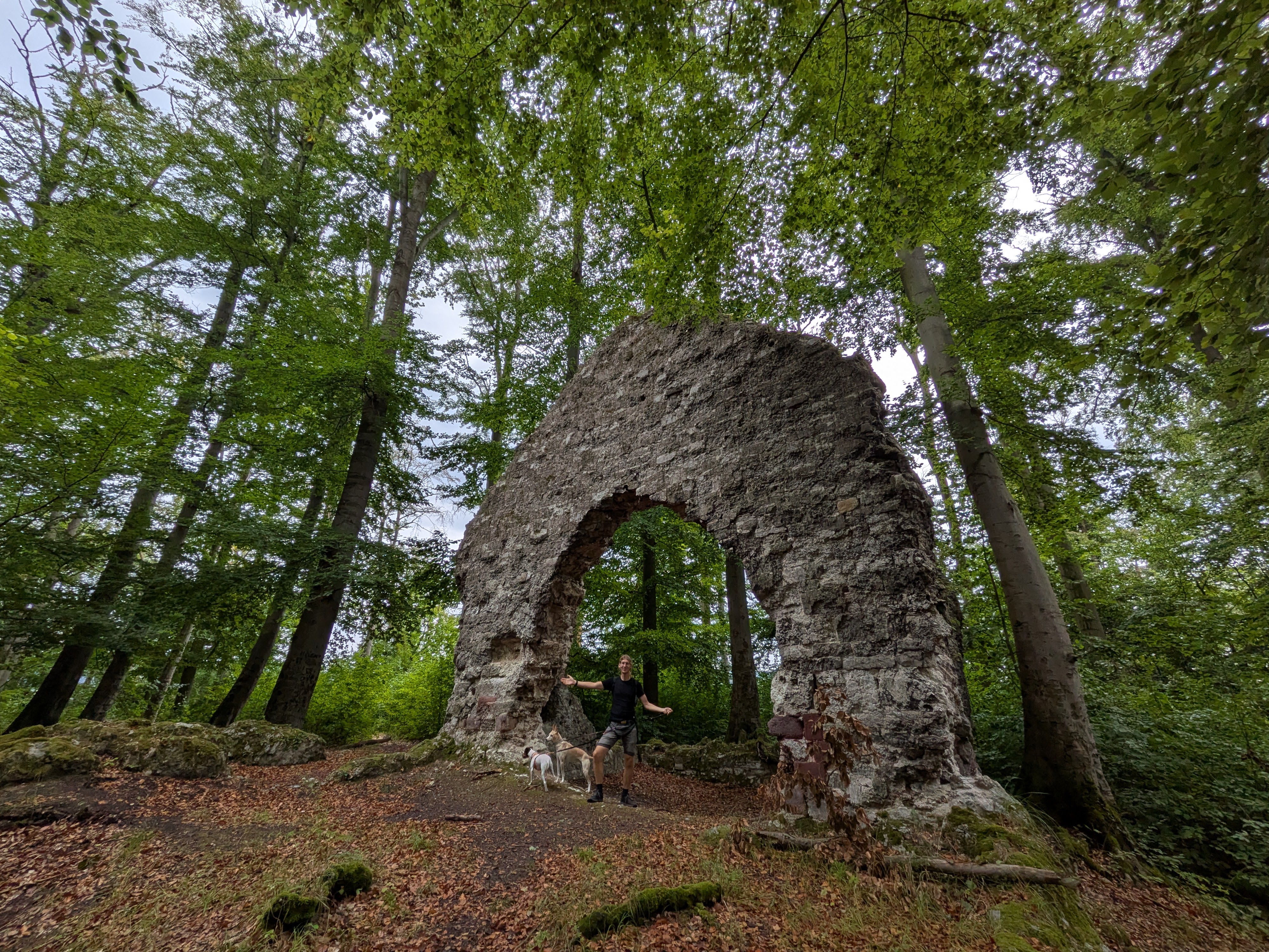 Die Ruine