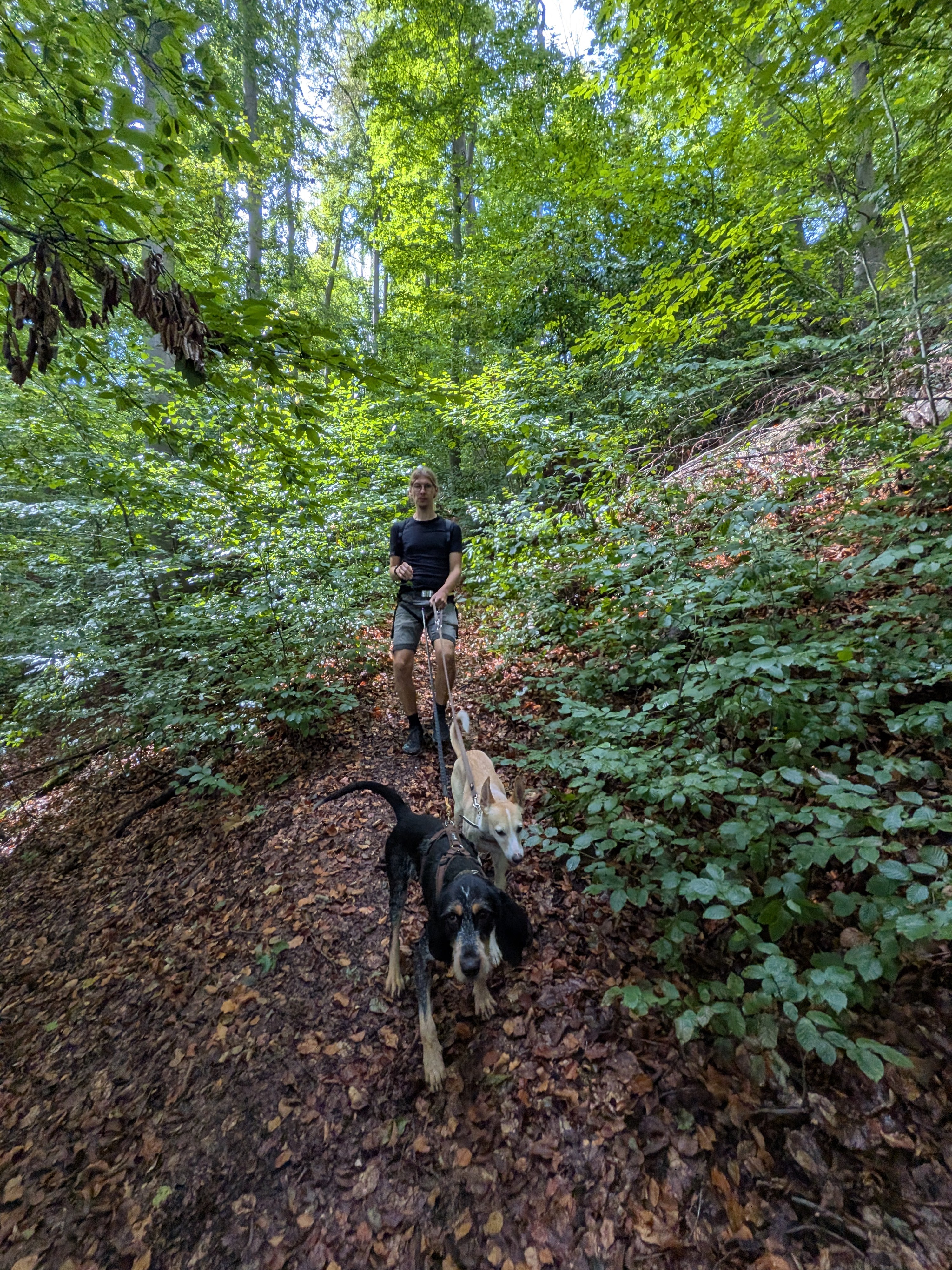 Wandern mit Yuri und Vendetta