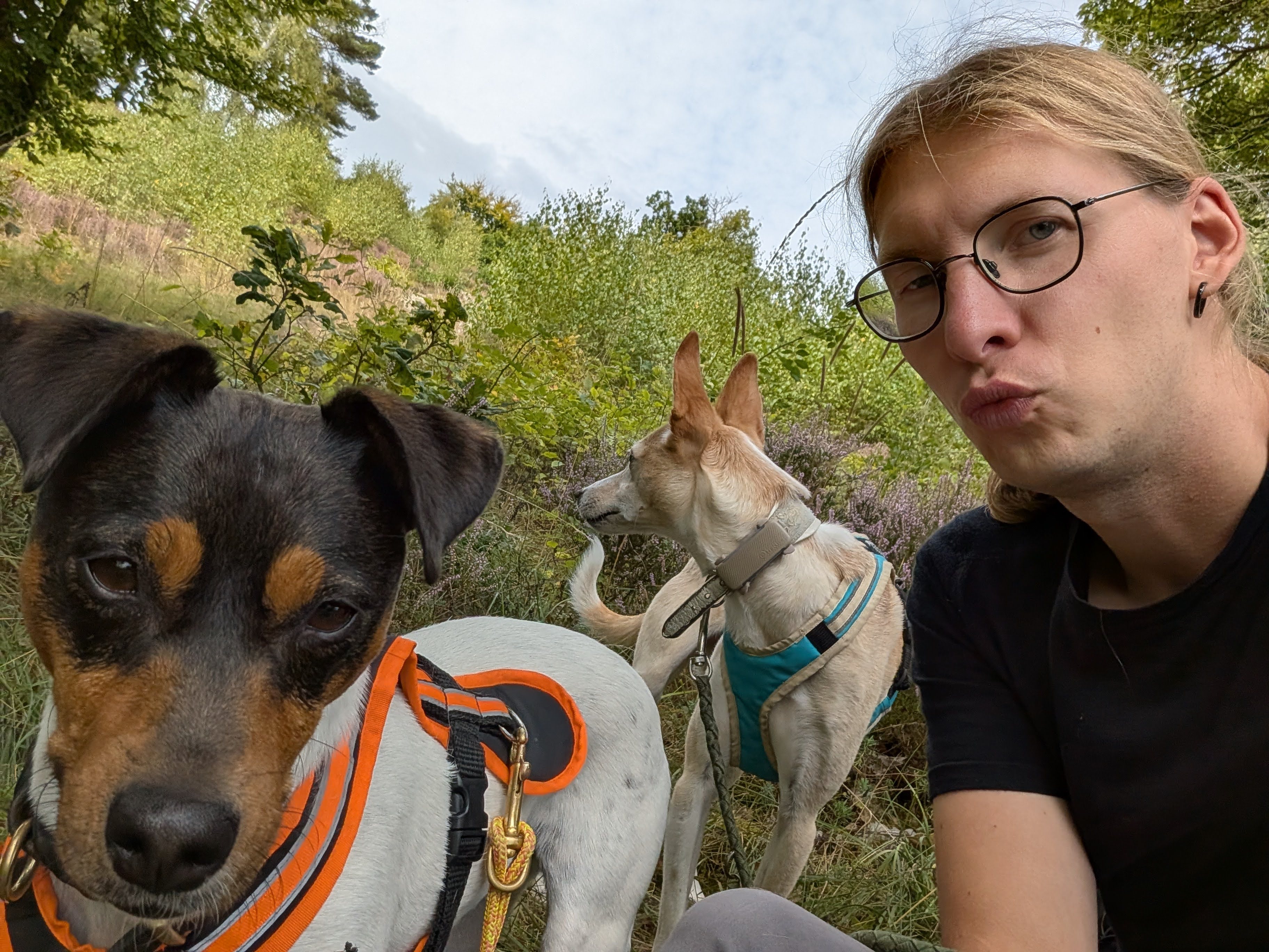 Syd mit Yuri und Zorro
