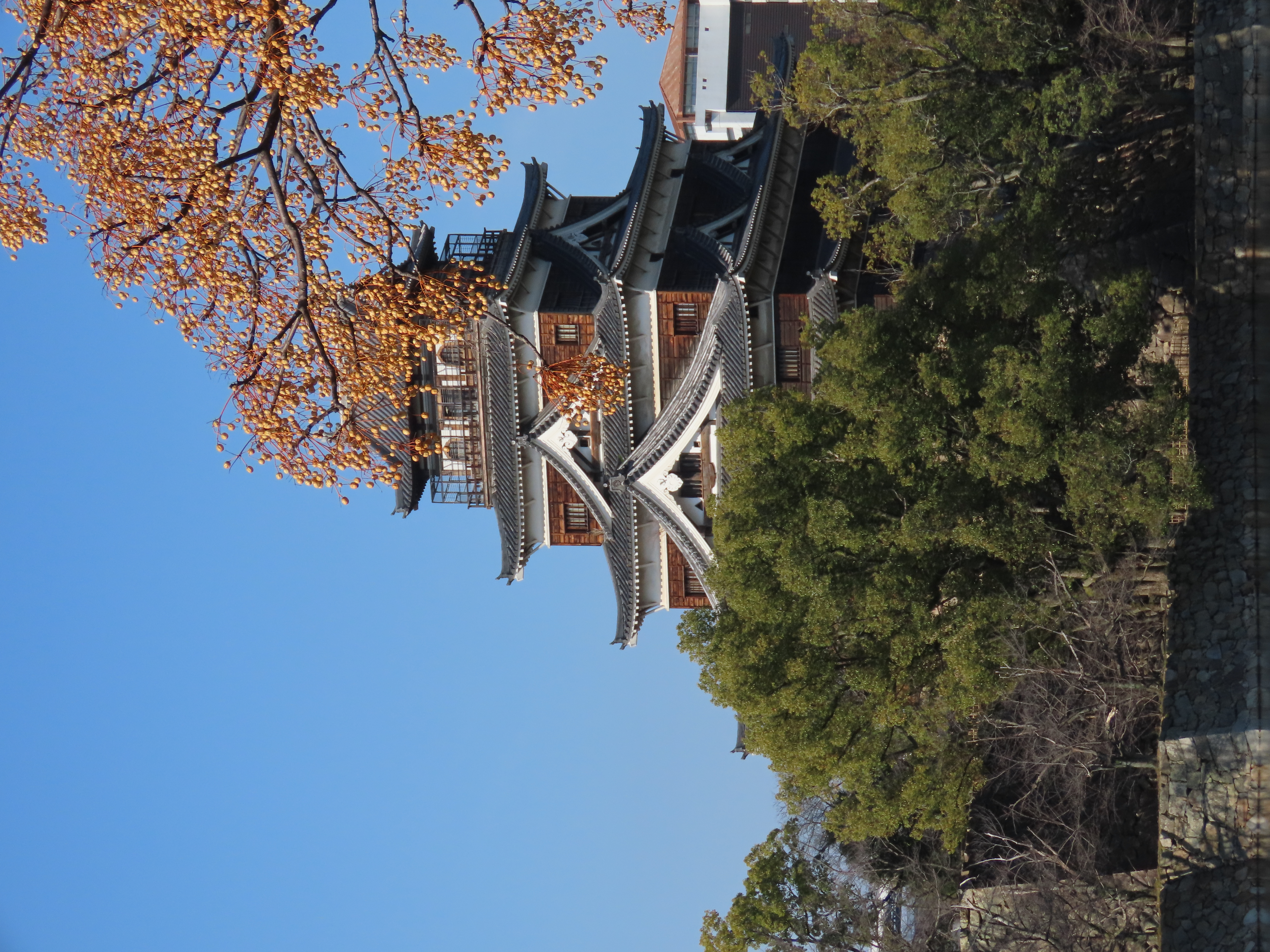 Hiroshima Burg