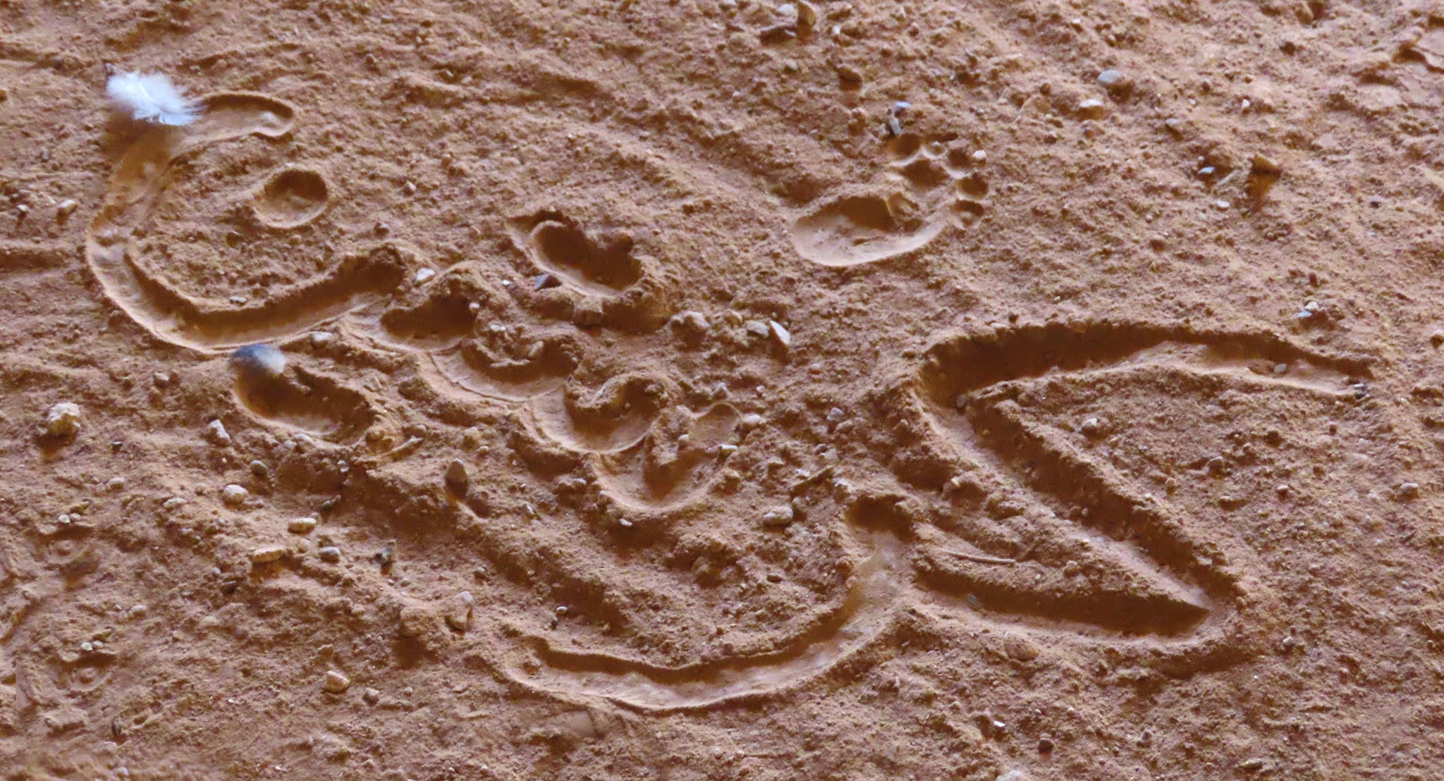 Kristins Name auf arabisch