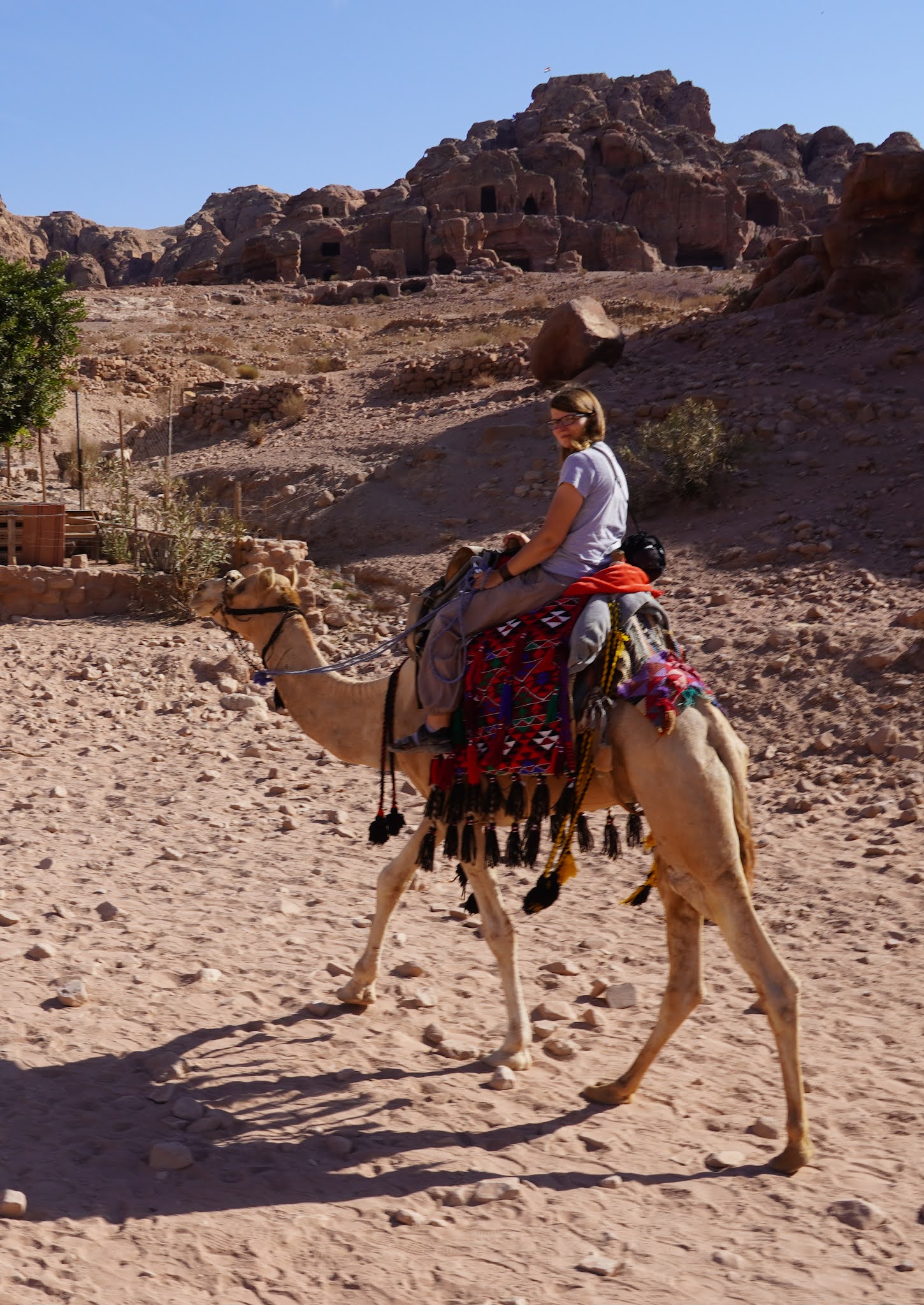 Aki auf einem Dromedar