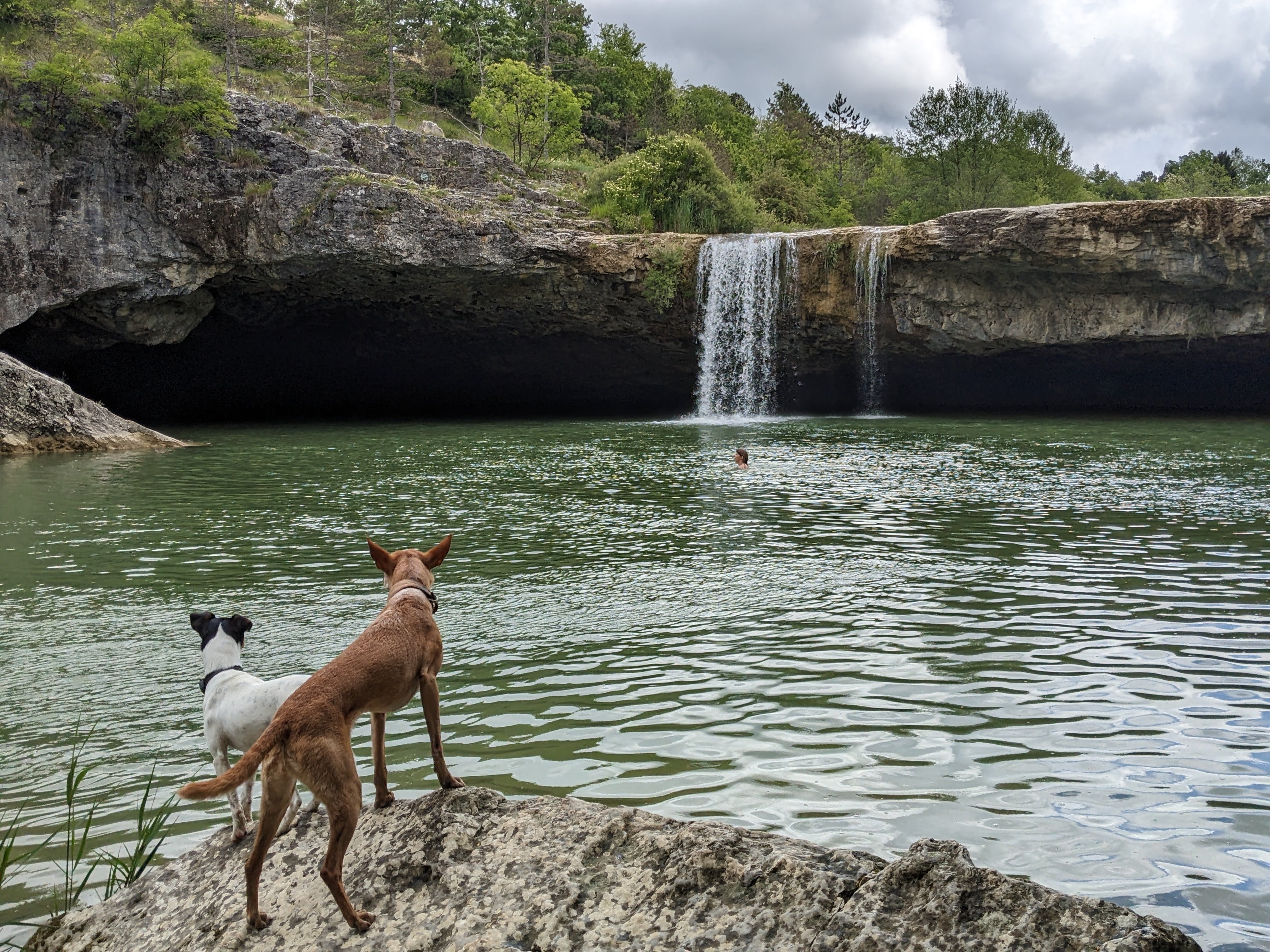 Aki schwimmt beim Wasserfall