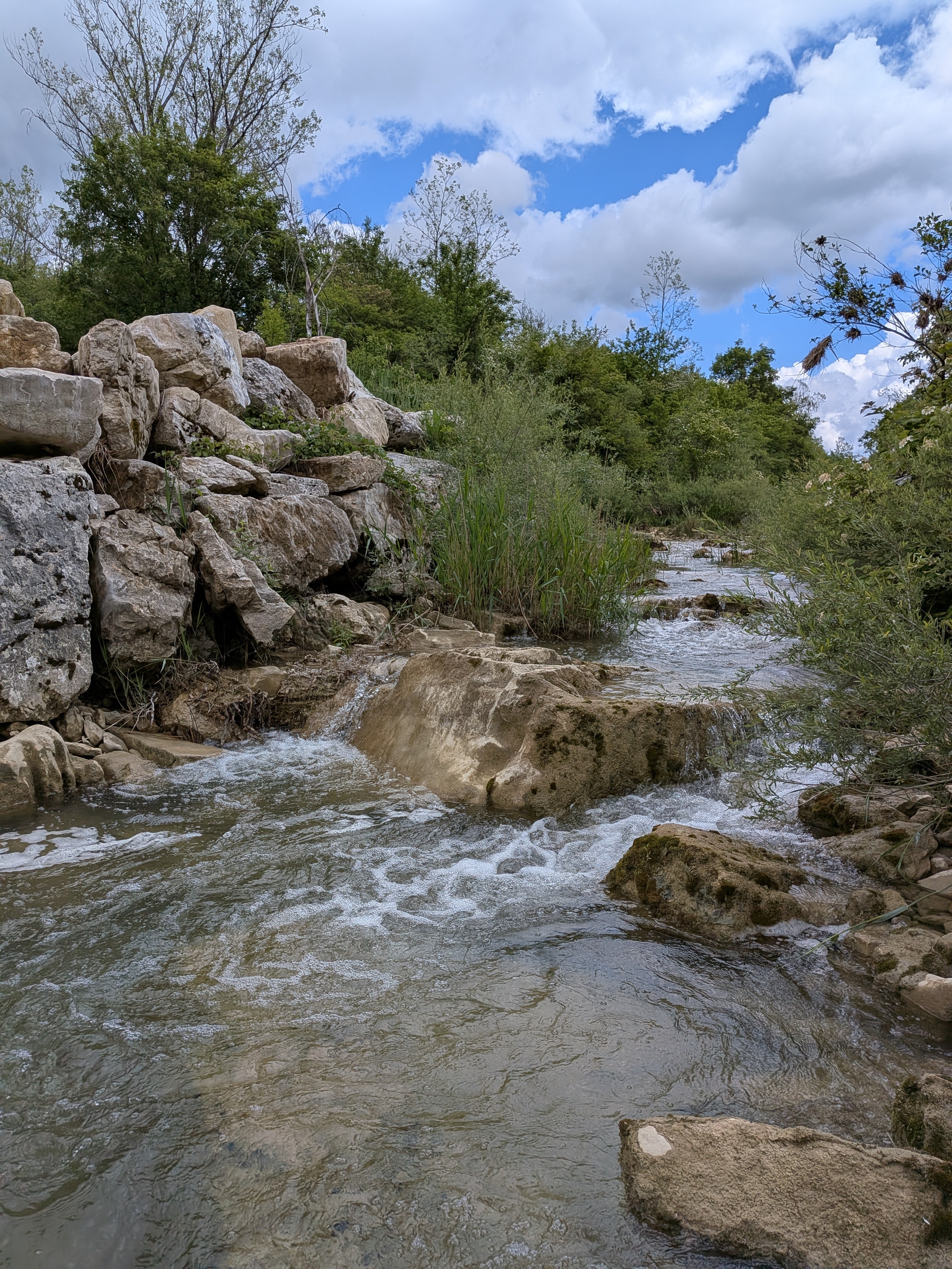Fluss