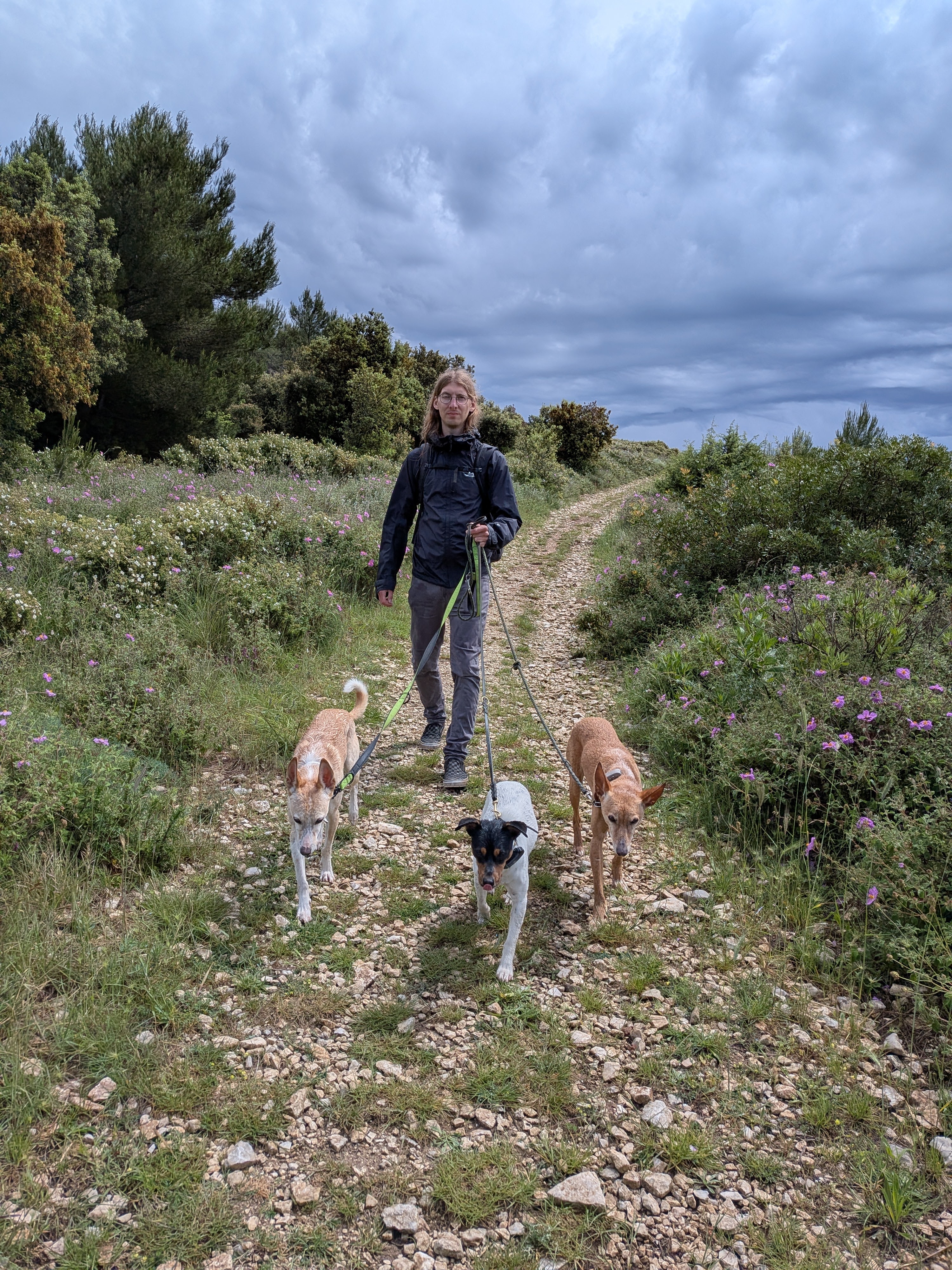 Syd mit den Hunden auf dem Rückweg