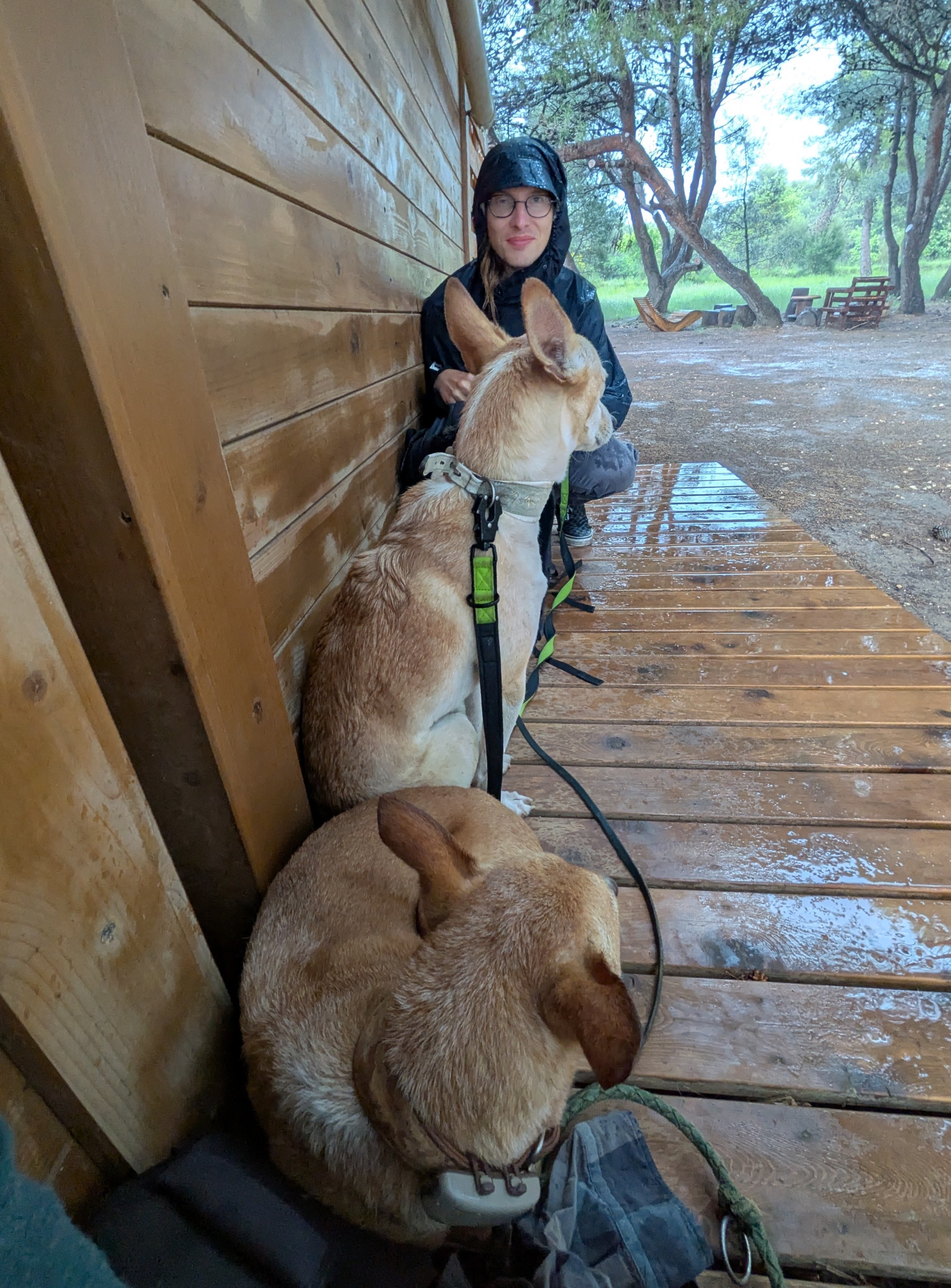 Syd und die Hunde bei Regen an einer Hütte