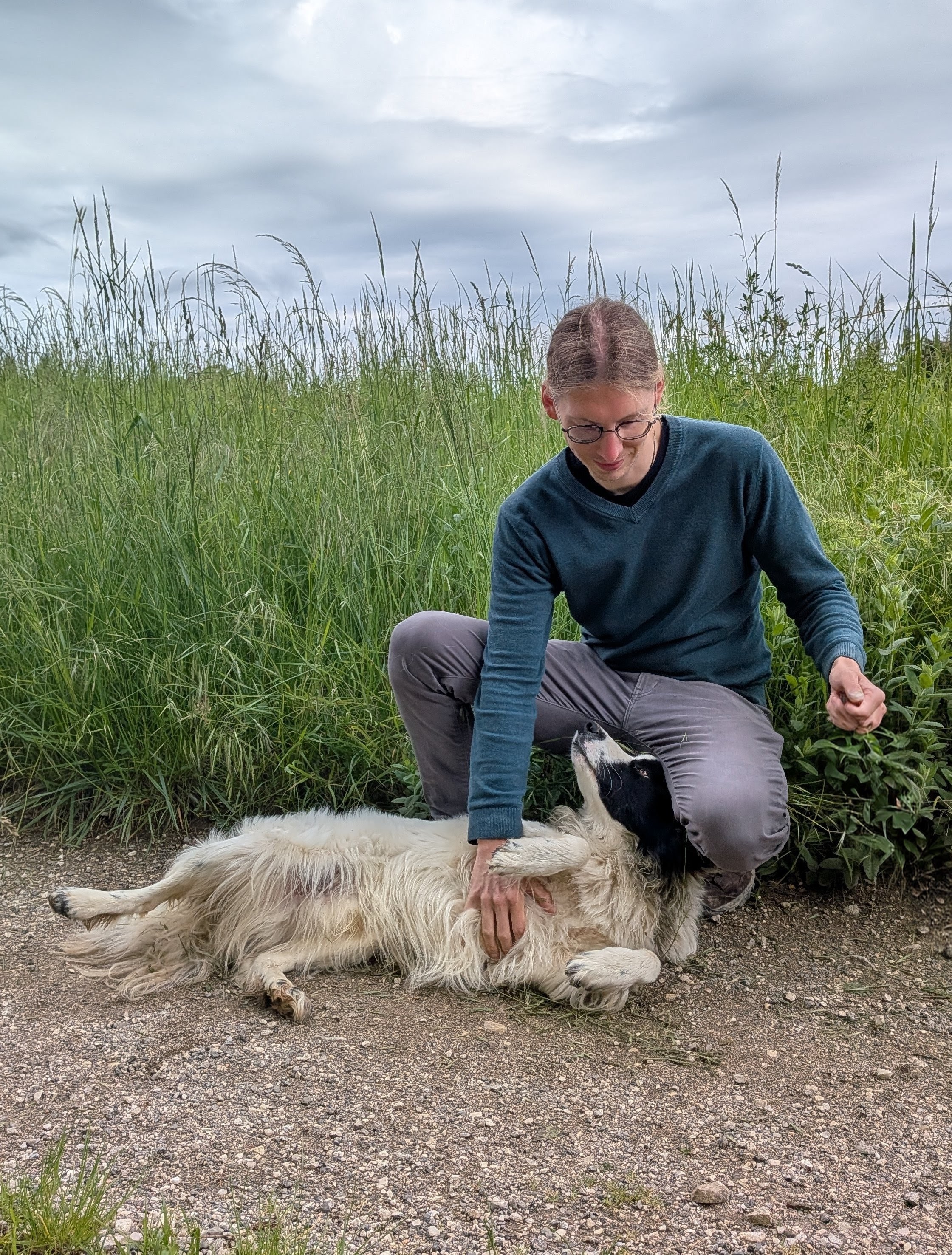 Ein fremder Hund möchte gekrault werden