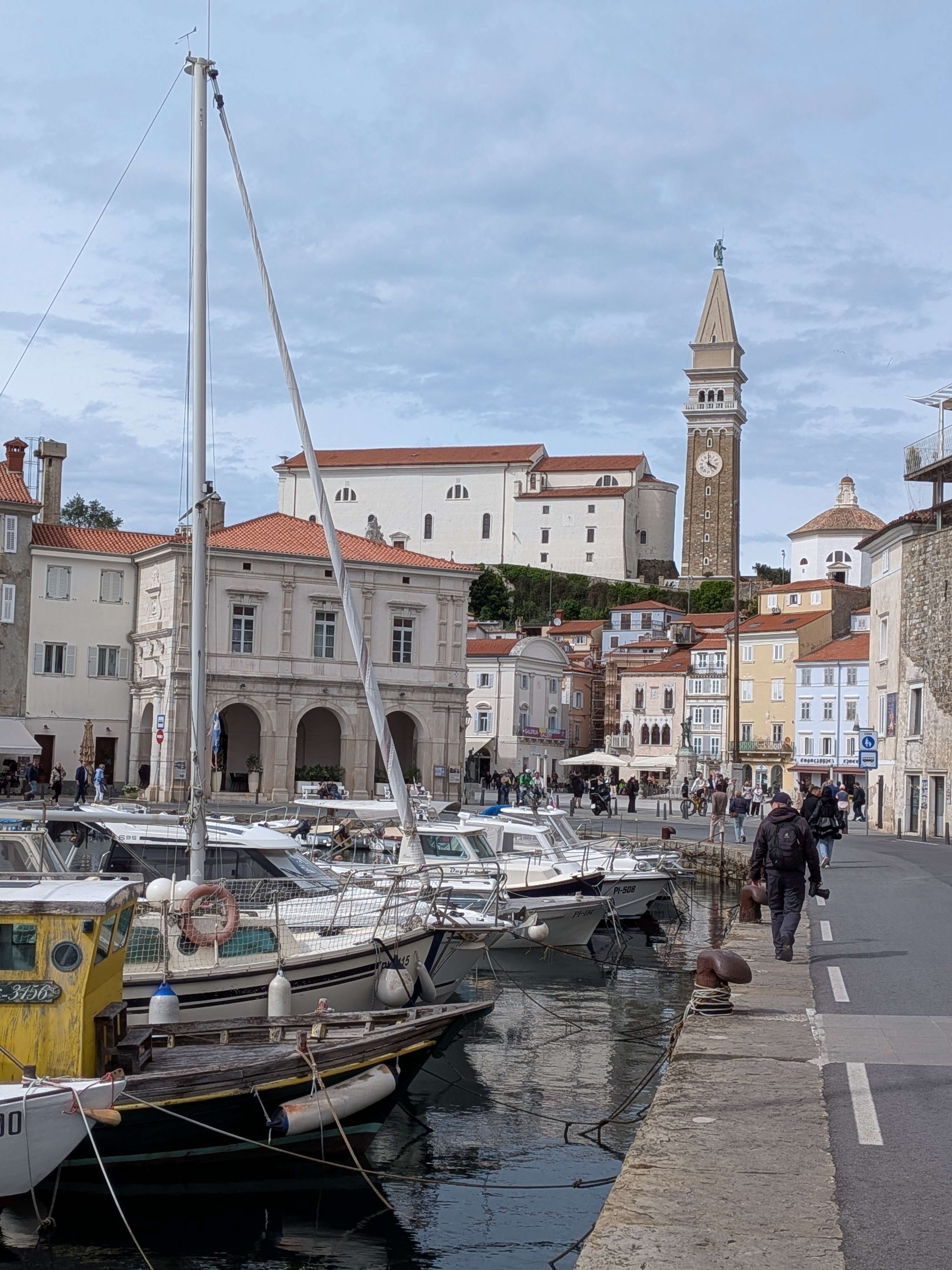 Der Hafen von Piran