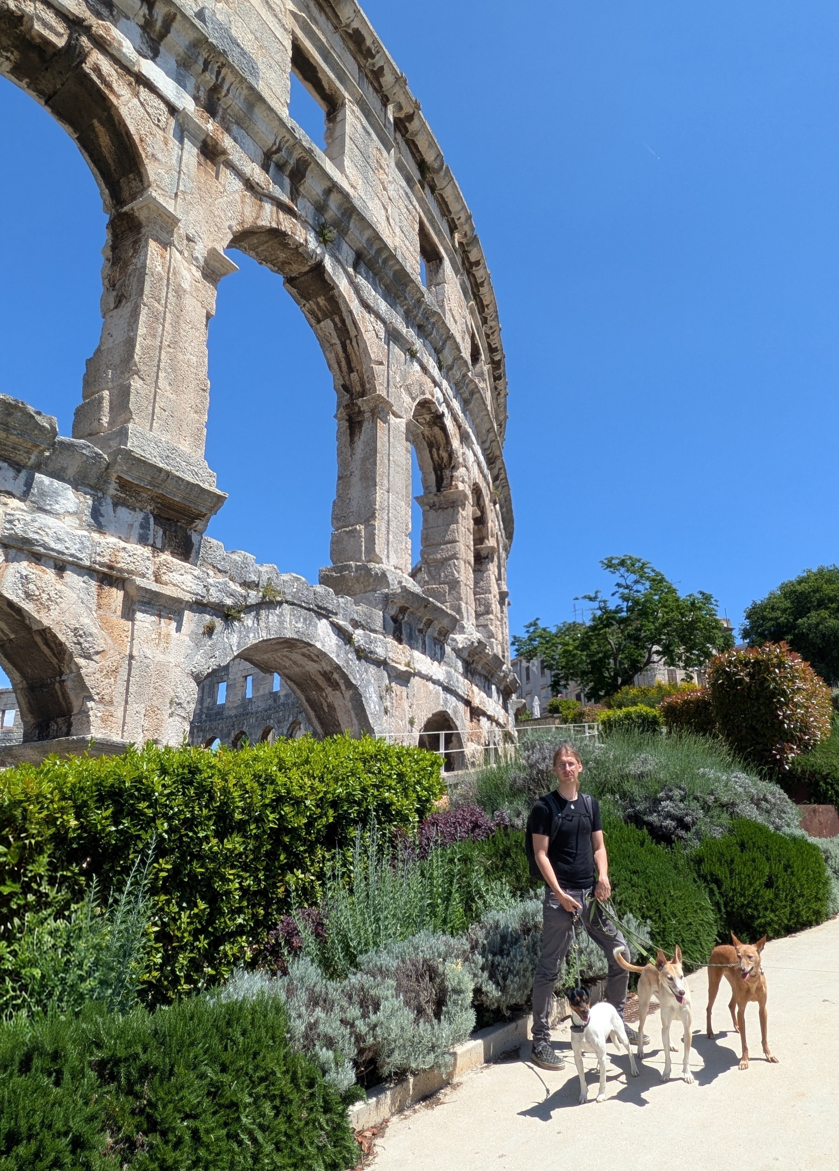 Syd und die Hunde vor dem Amphitheater