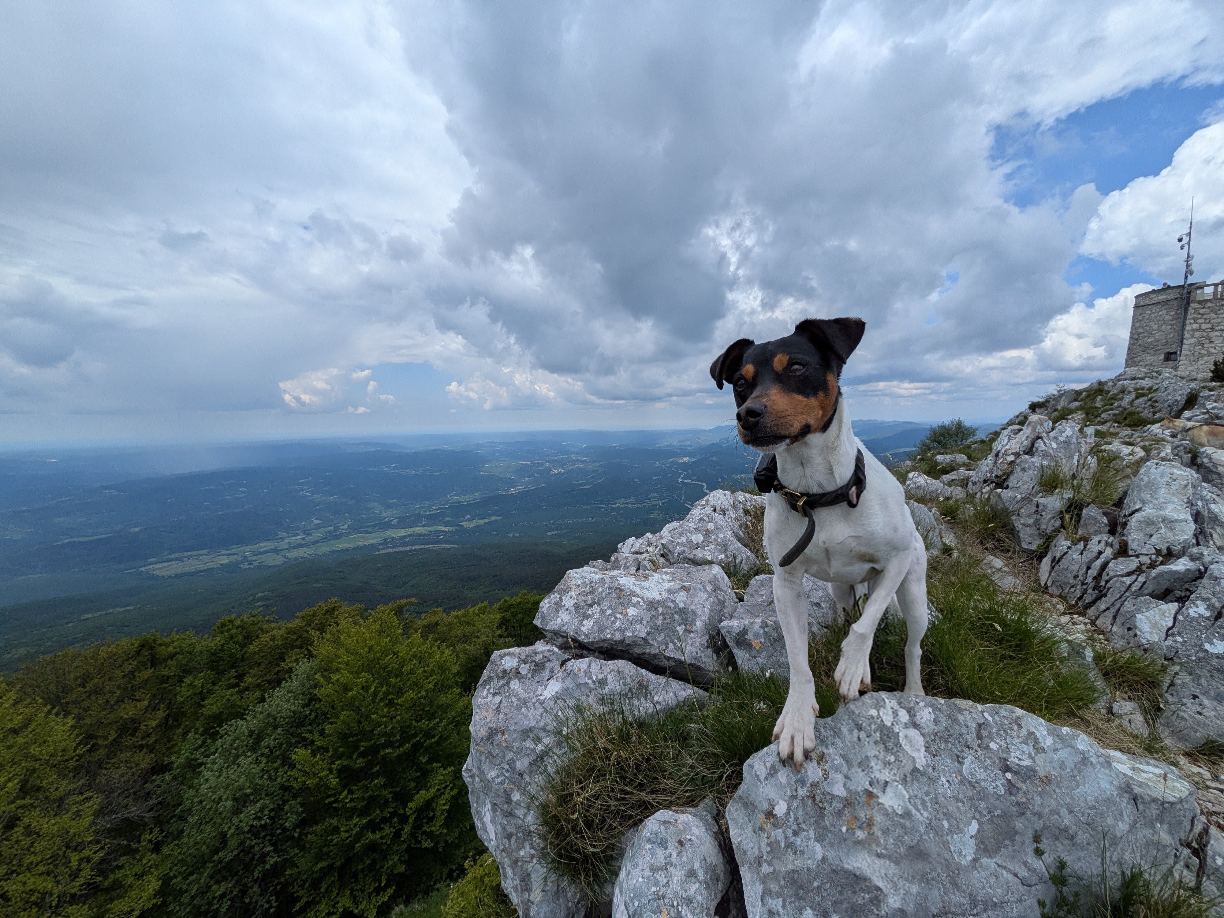 Zorro auf dem Gipfel