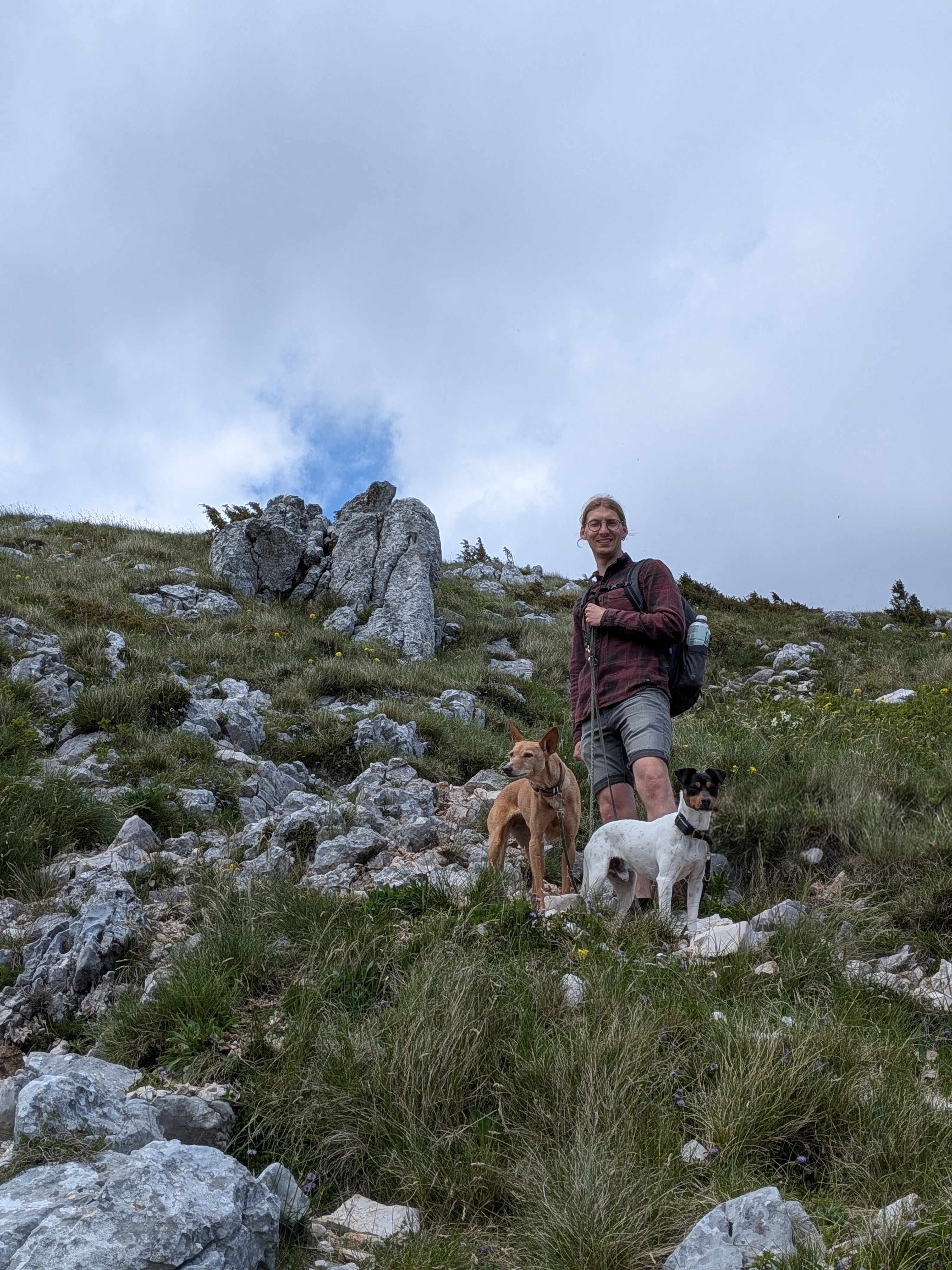 Syd und die Hunde beim Aufstieg