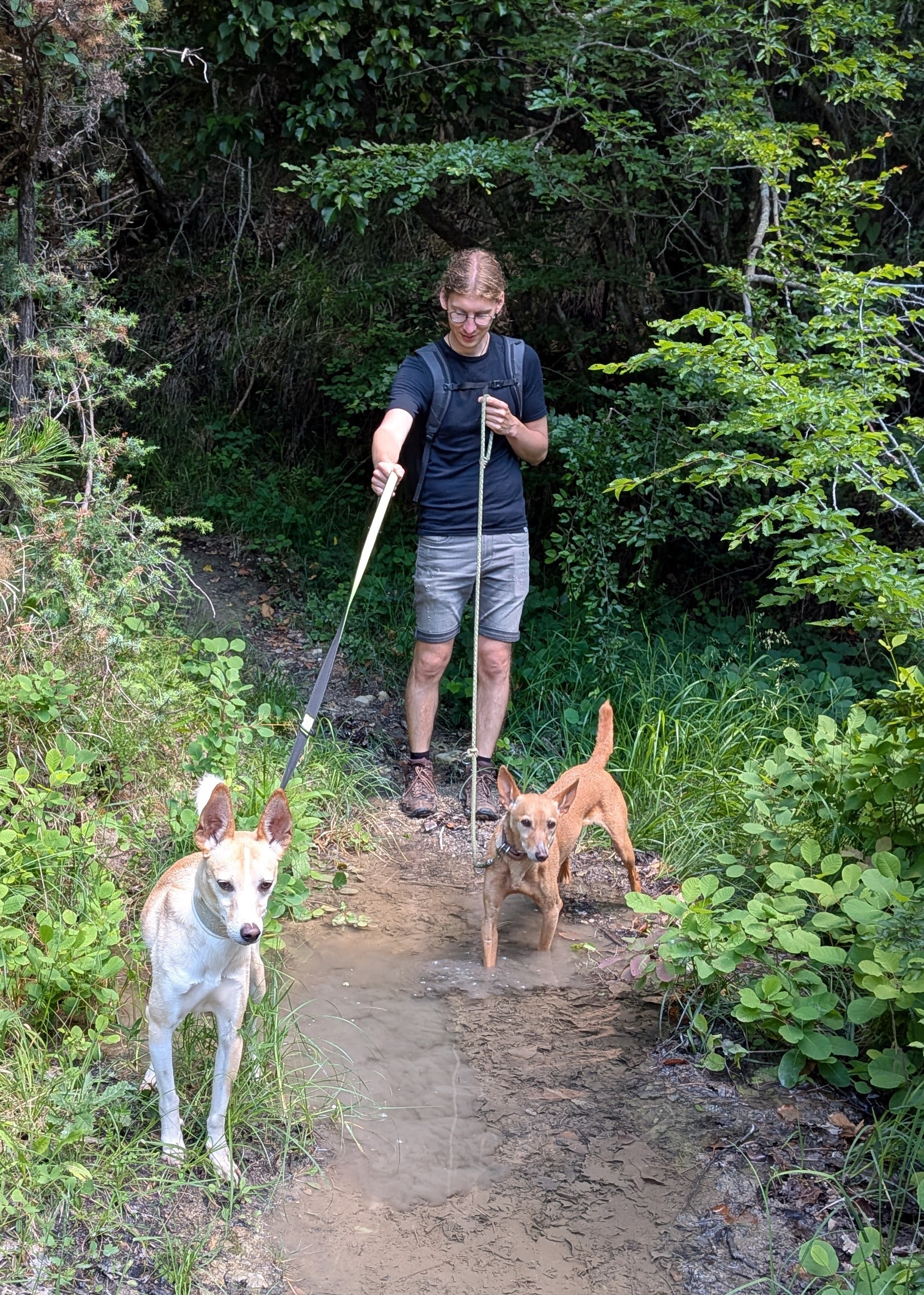 Syd und die Hunde beim Wandern