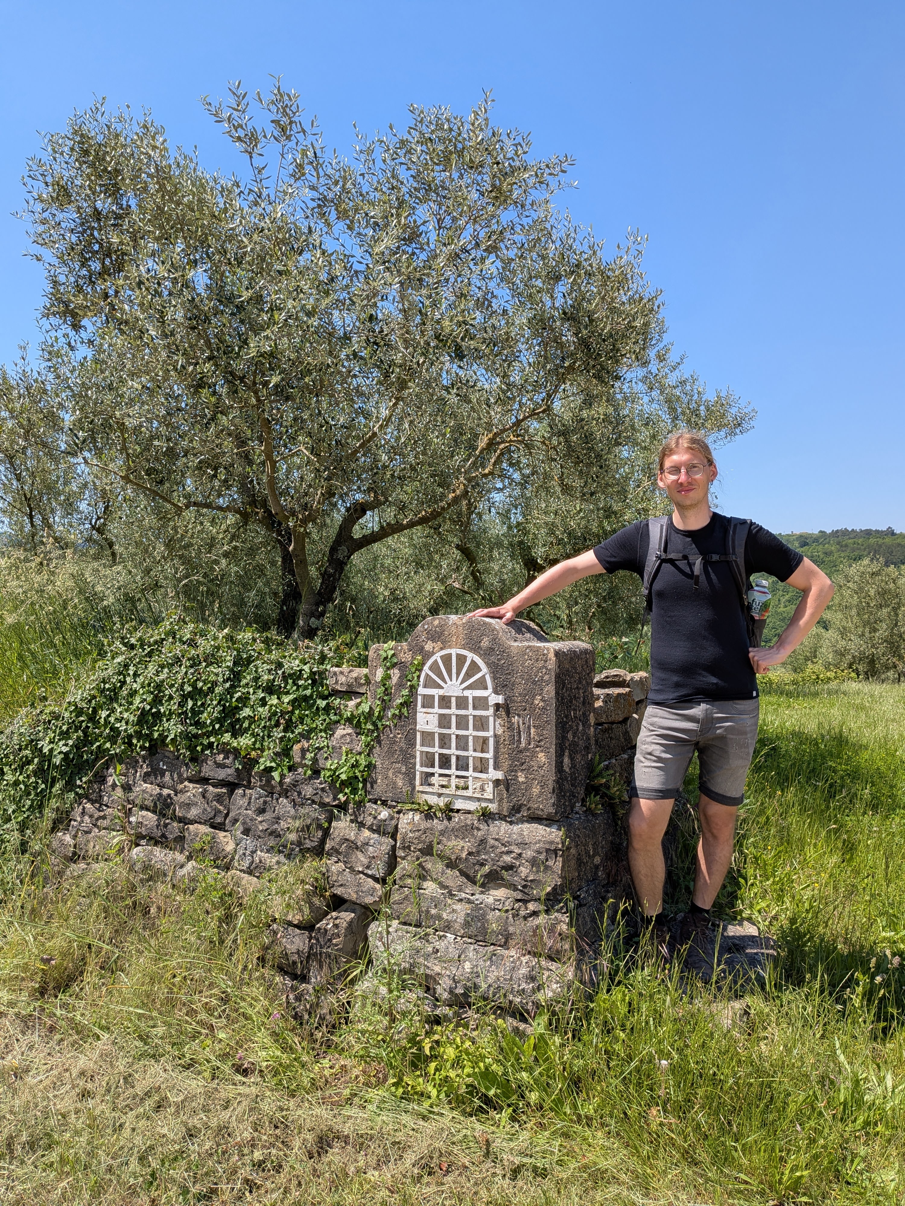 Syd beim Olivenhain