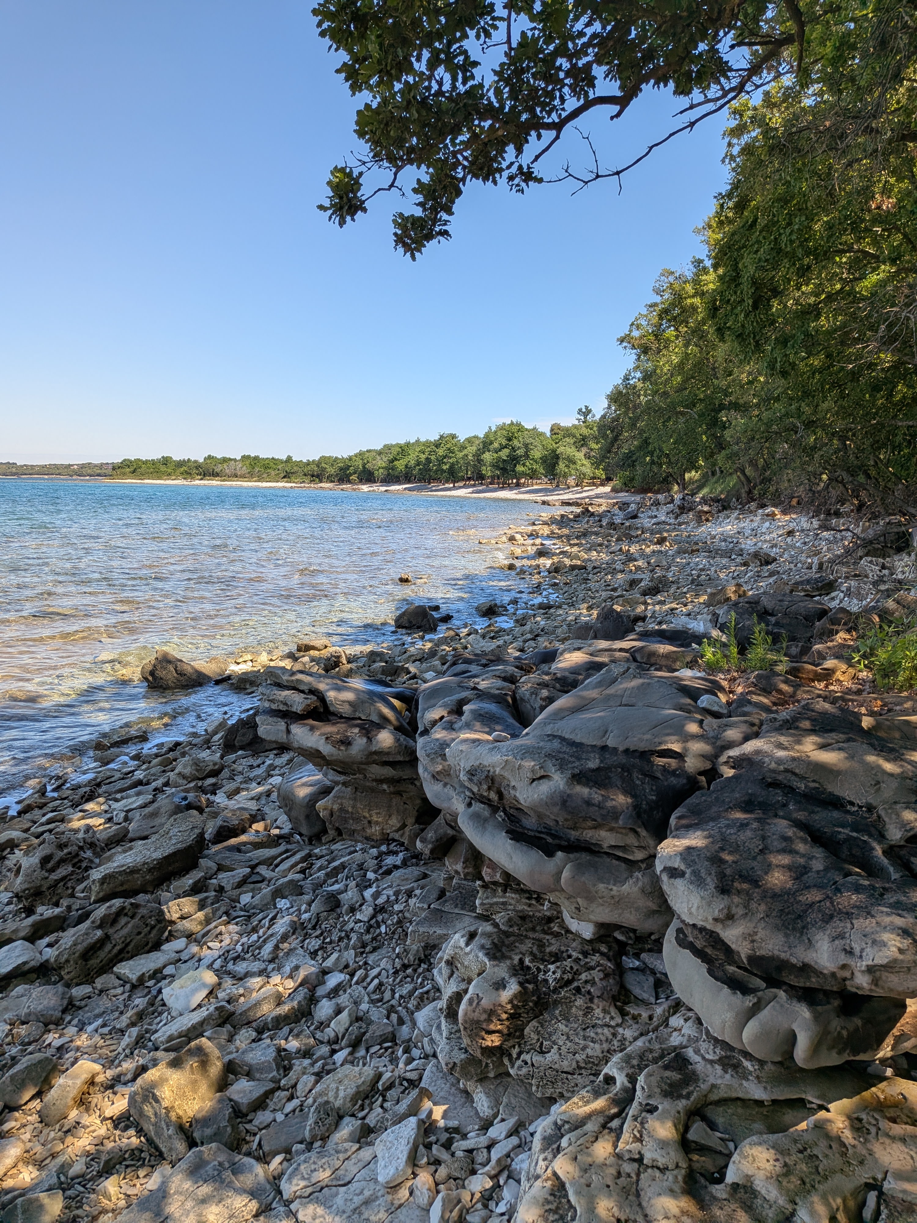 Das Ufer vom Mittelmeer